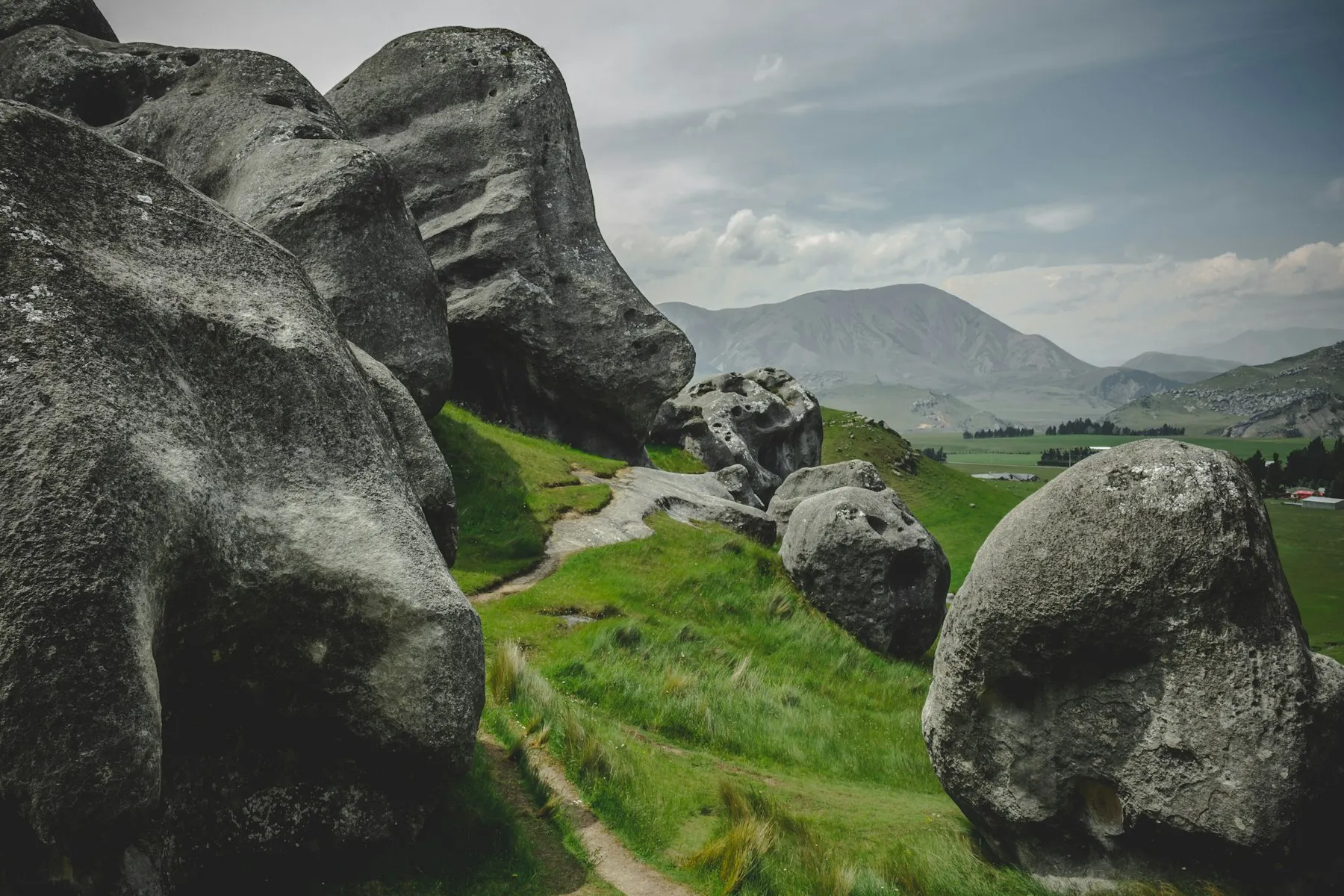 Broad Valley — field data