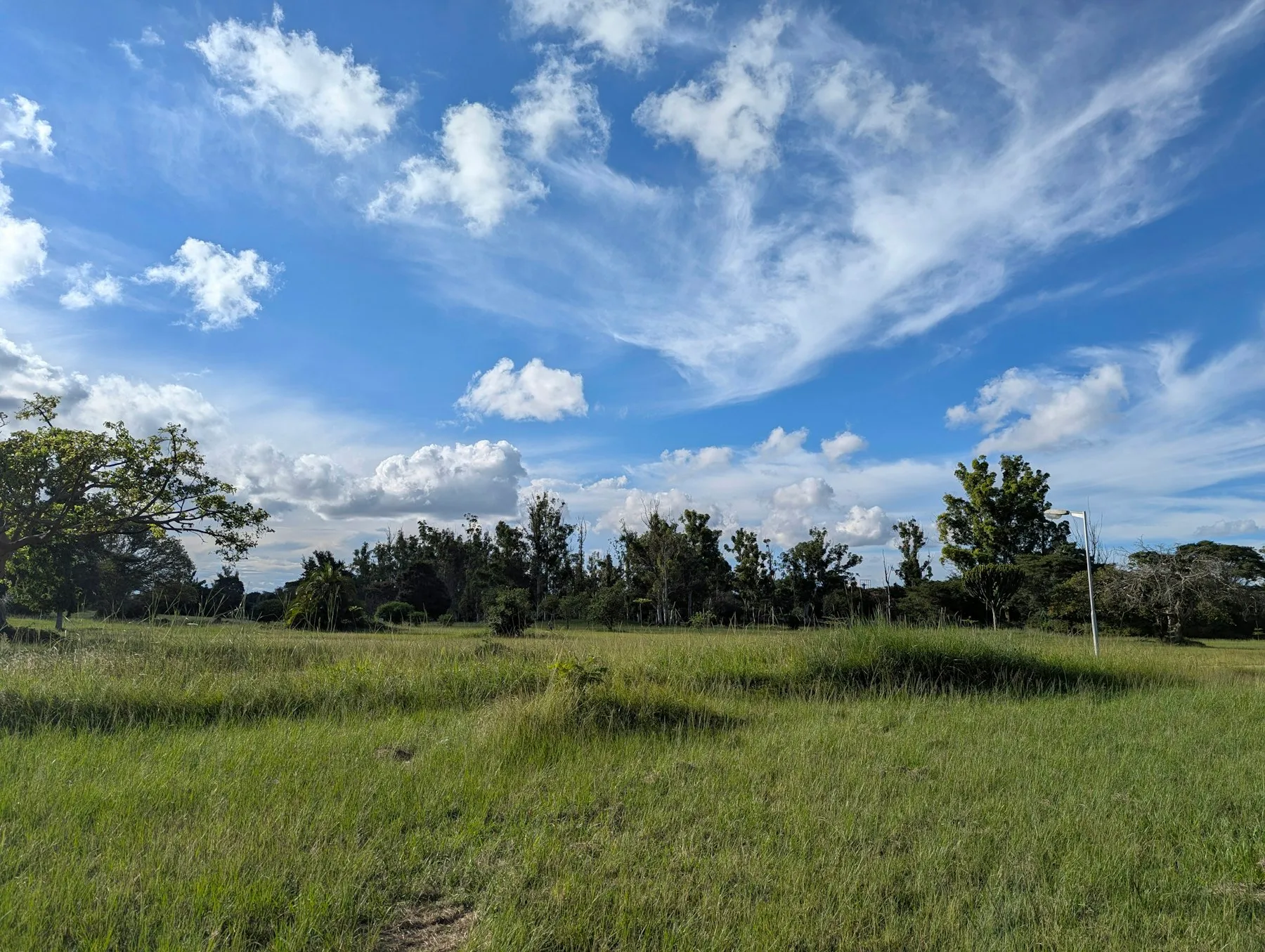 Chiwala project site